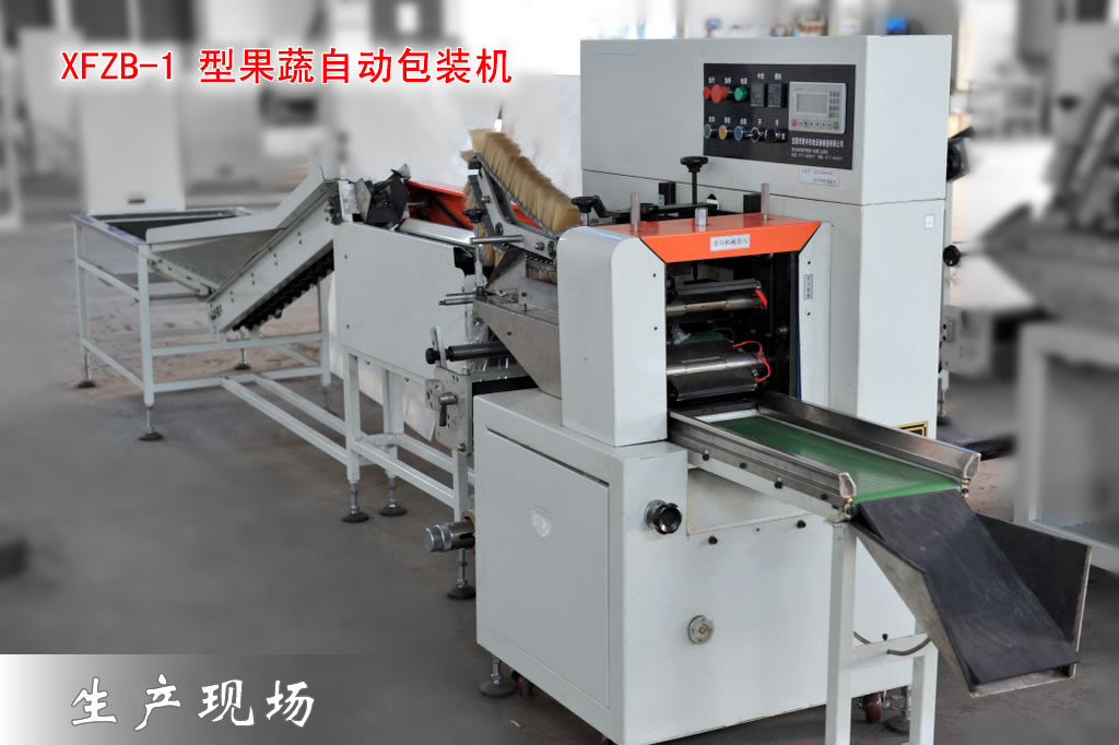 恒新牌XFZB-1型果蔬自動包裝機